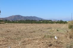 VENDO Parcela 4000 m2 en Tunca Abajo, San Vicente de Tagua Tagua