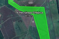 VENDO 76 HECTÁREAS PLANAS EN CHÉPICA